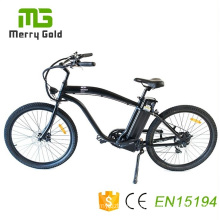 250W-350W Electric City Bike in EU Market